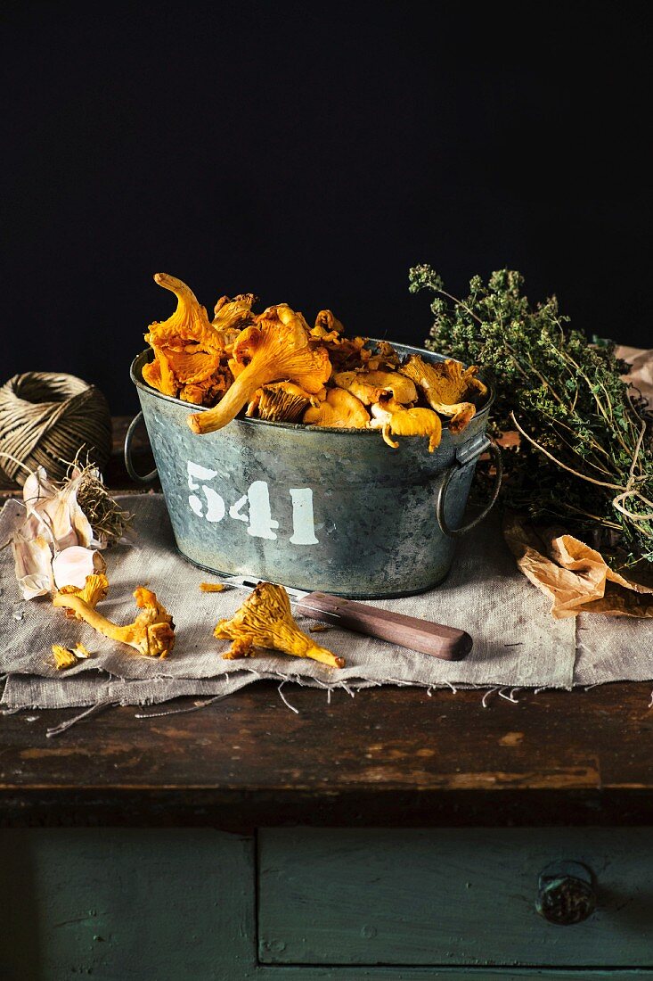 Fresh chanterelles in a tin bucket on a wooden table