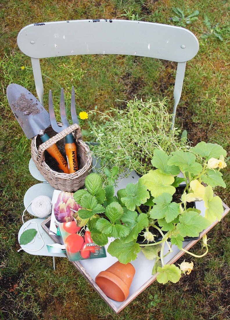 Gardening tools, packets of seeds and plants on tray on garden chair