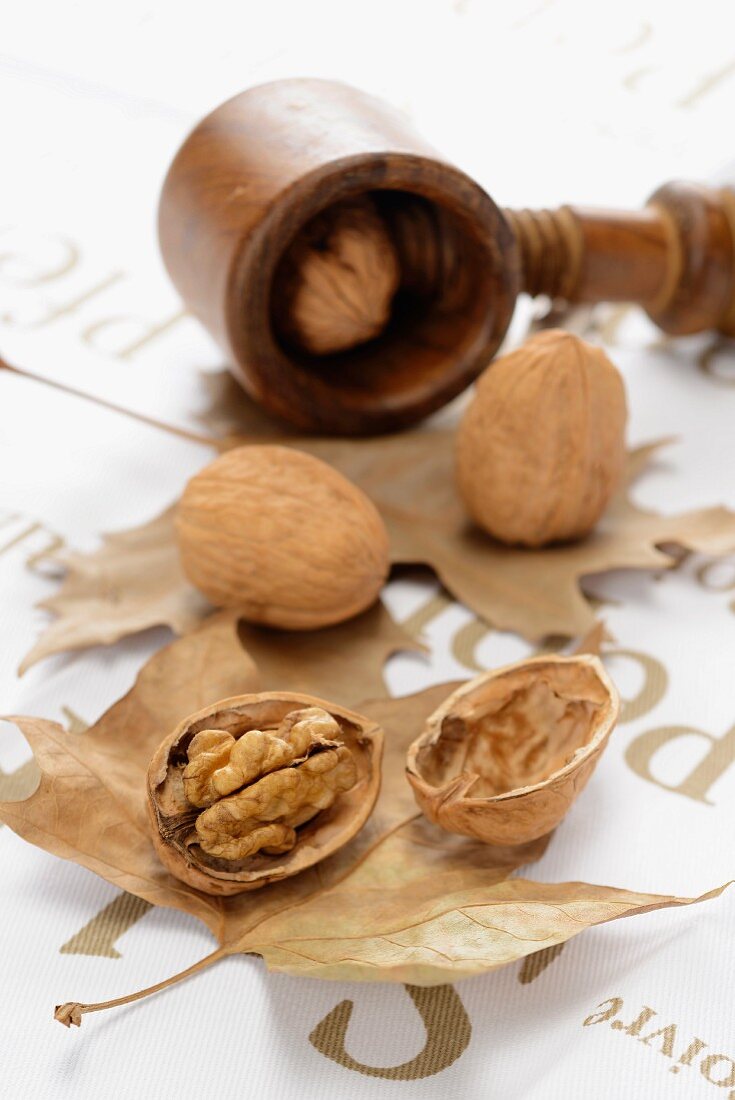 Walnuts, whole and cracked, on autumn leaves