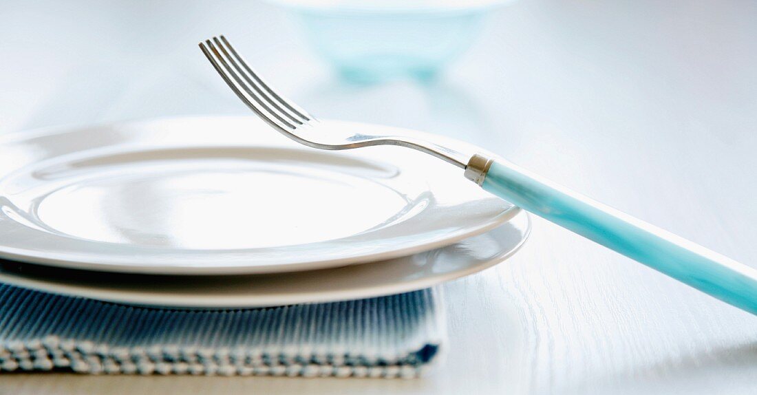 Two white plates with a pale blue fork