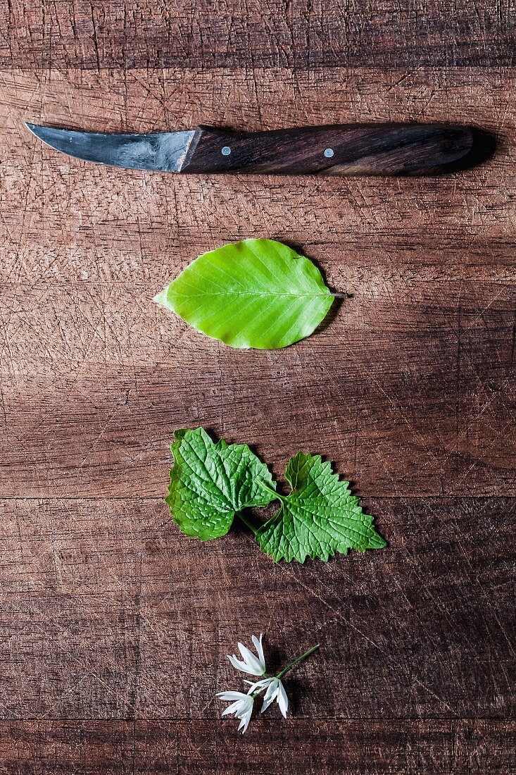 Assorted fresh herbs with a knife on a wooden surface