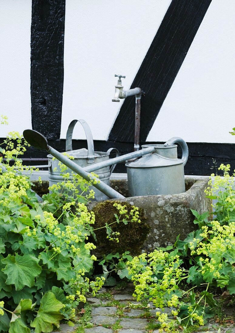 Metal watering cans in mossy stone trough against half-timbered facade