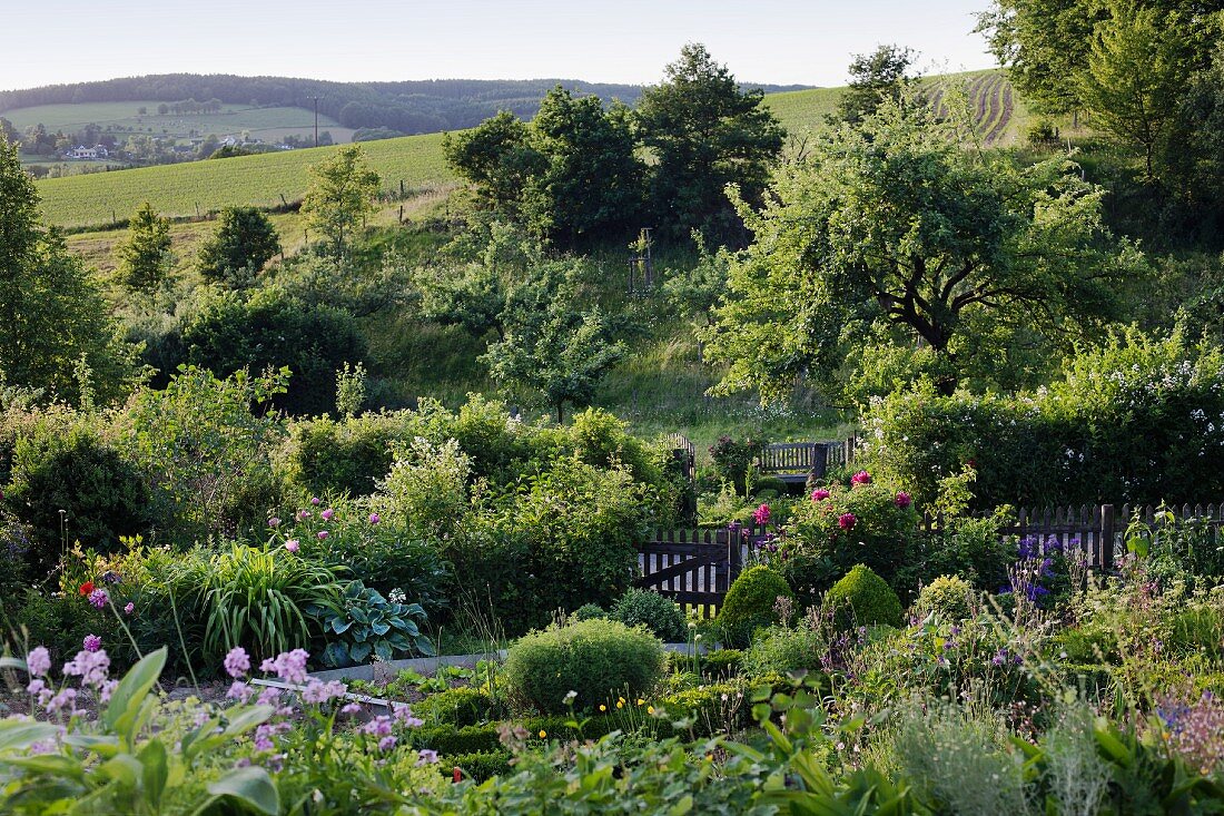 Blooming garden with view across landscape