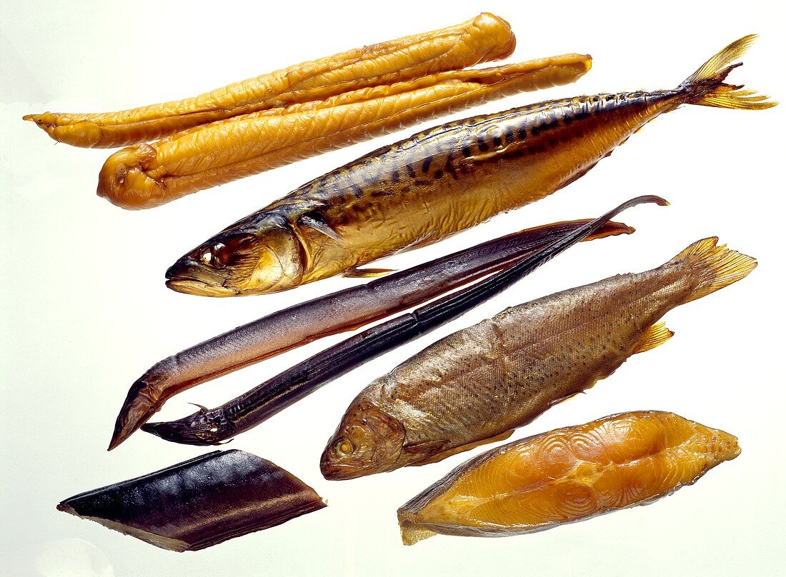 Geräucherte Fische: Schillerlocken, Makrelen, Aale, Forellen