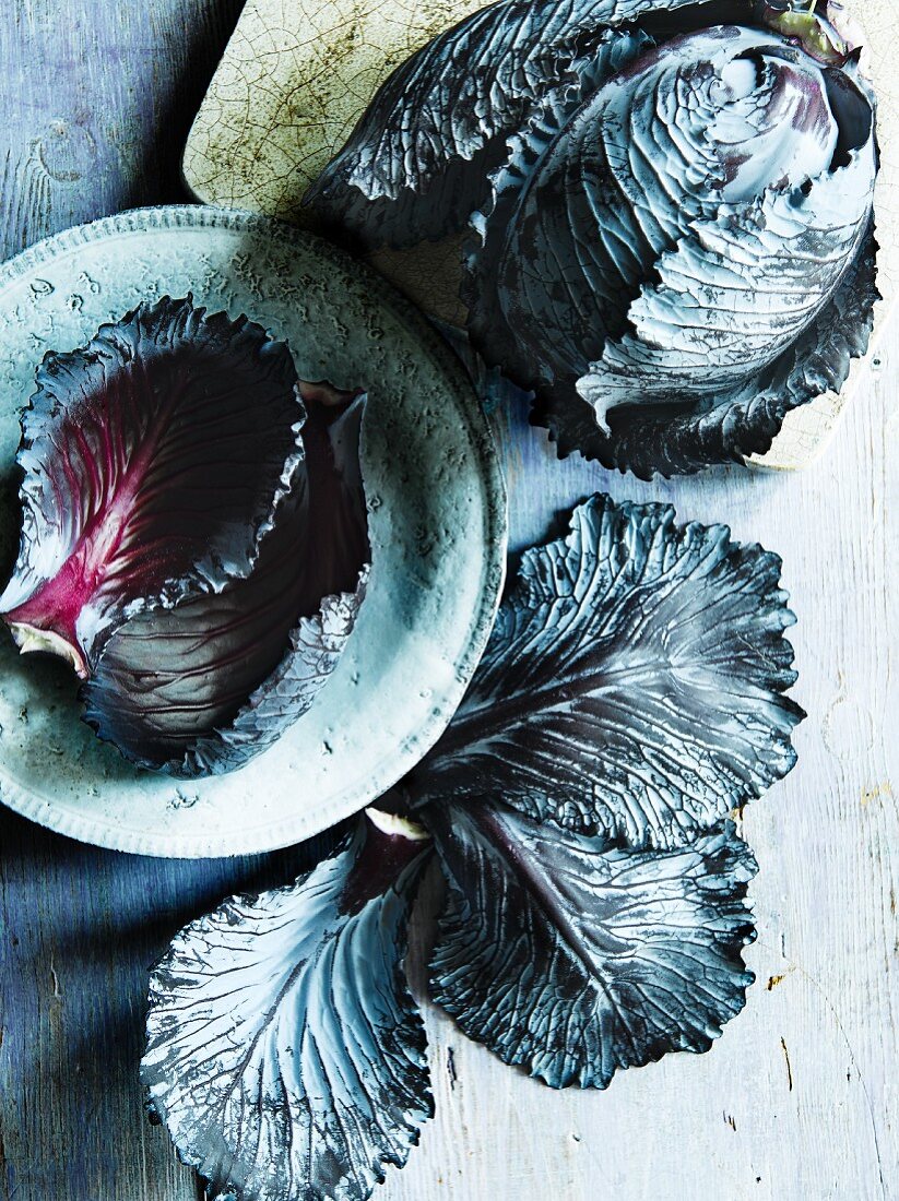 A fresh red cabbage and individual leaves (view from above)