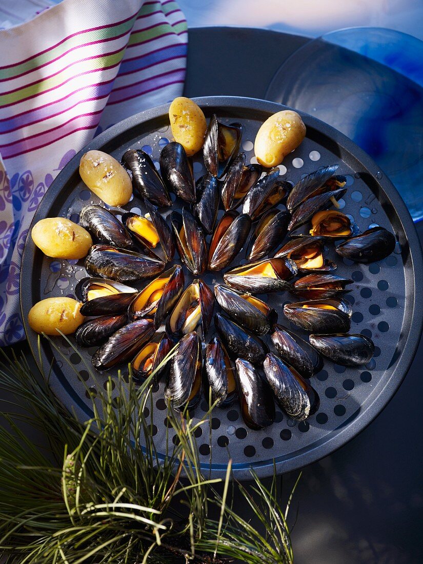 Barbecued mussels and potatoes