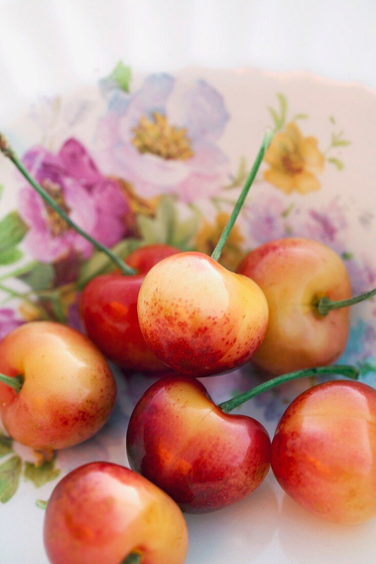 Fresh cherries