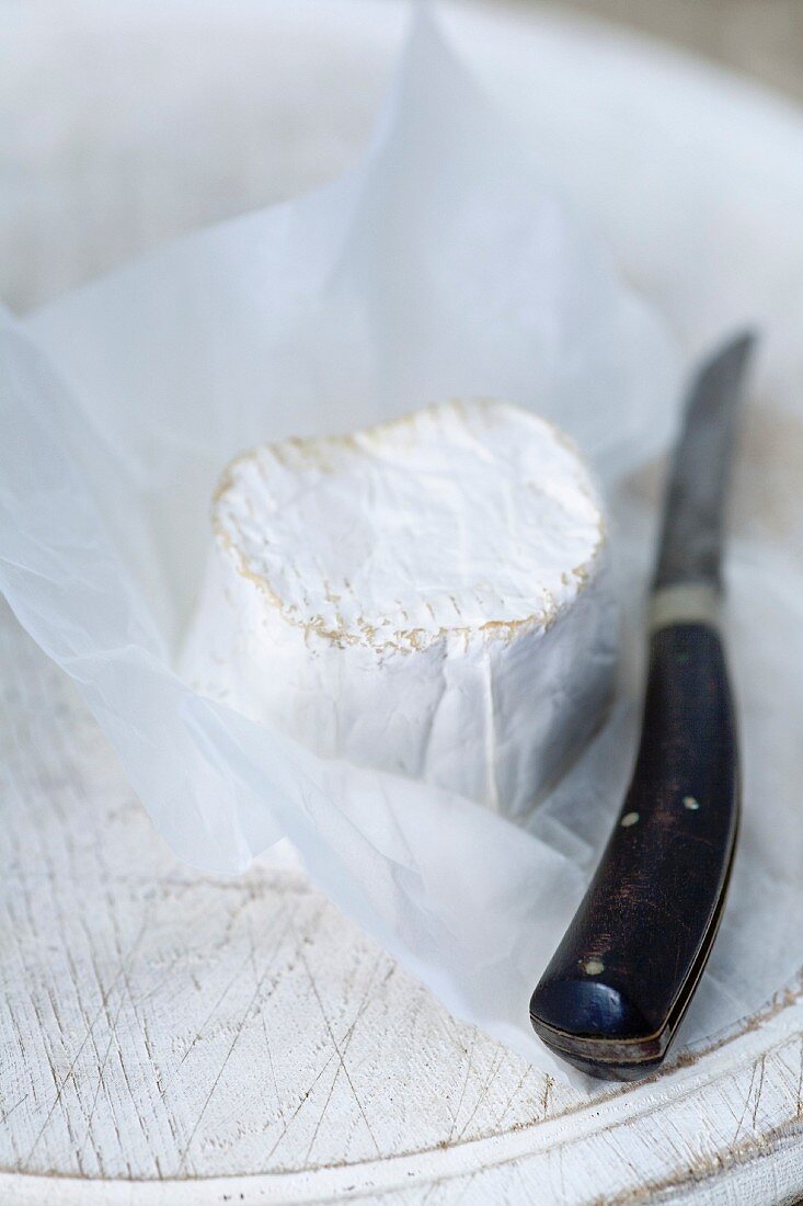 Goat's cheese and a rustic knife