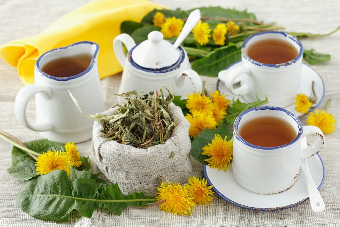 Three cups of dandelion tea, tea leaves and fresh dandelions