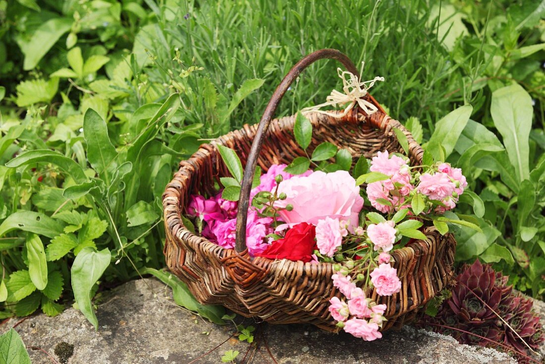 Korb mit prachtvollen Rosenblüten