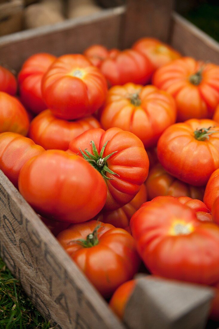 Lots of beef tomatoes in a crate