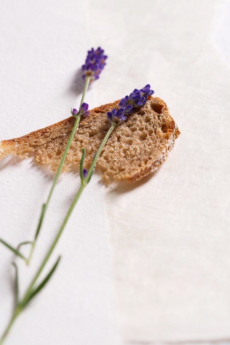 A slice of bread and lavender flowers