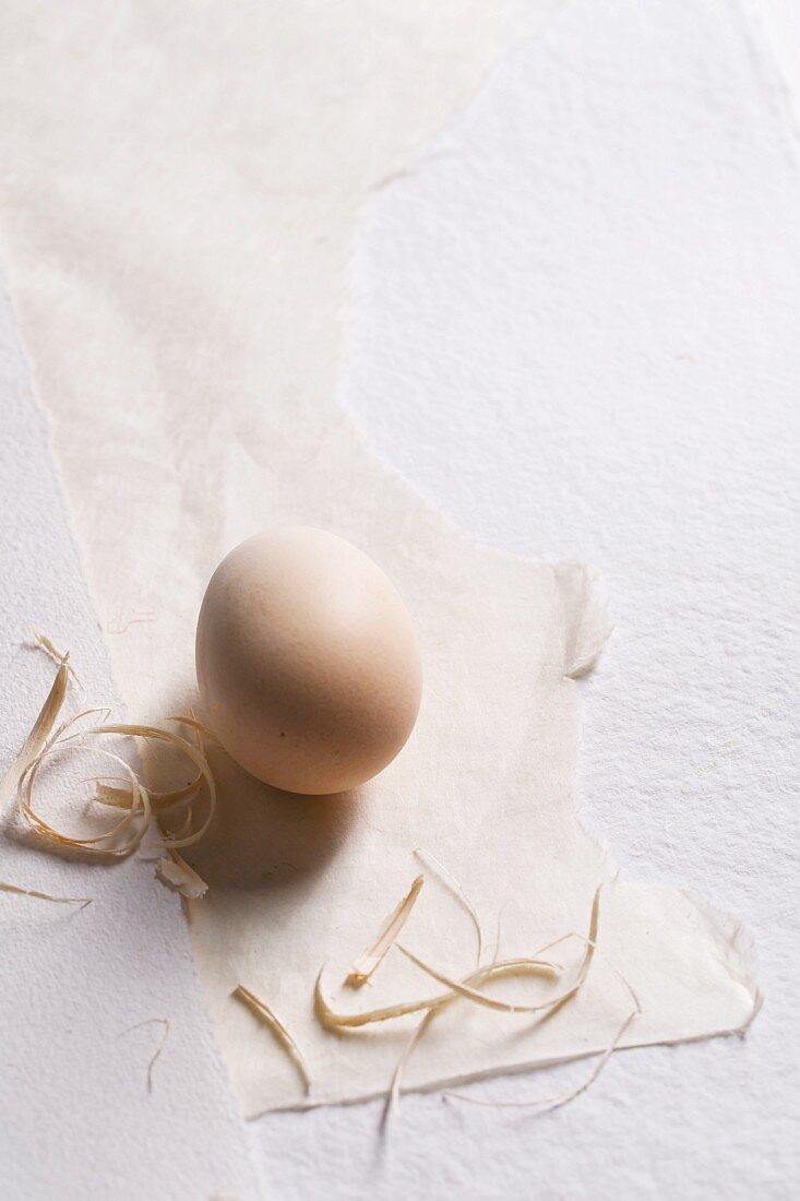 An egg with straw on paper