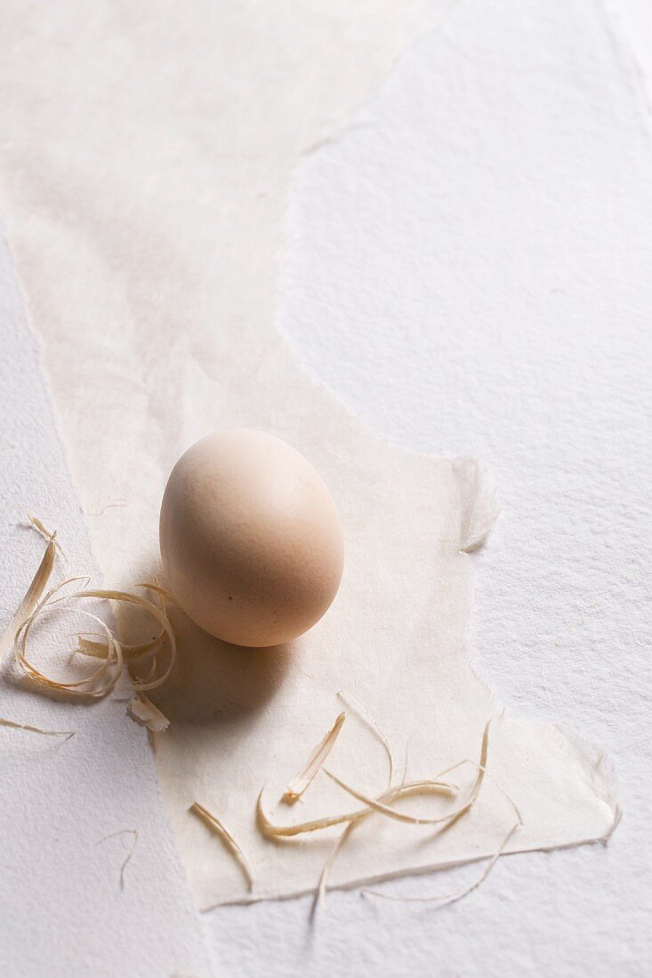 Ein Ei mit Stroh auf Papier