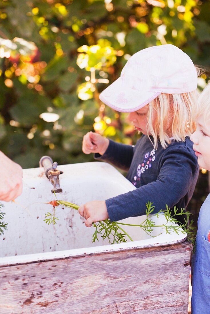 A Child Cleaning Washing a Freshly Picked Carrot in an Outdoor Sink