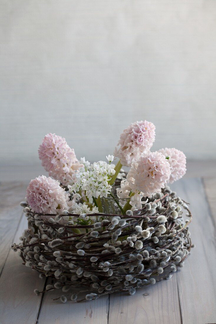 Hyacinth and allium flowers in basket of pussy willow catkins