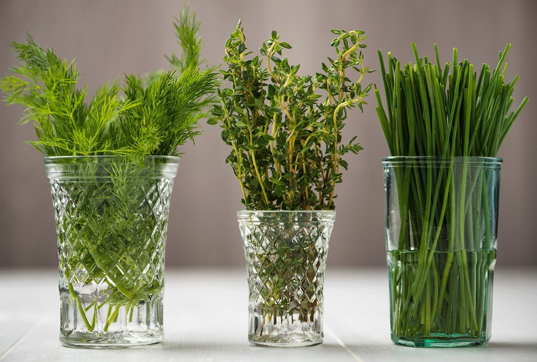 Fresh dill, thyme and chives in glasses of water