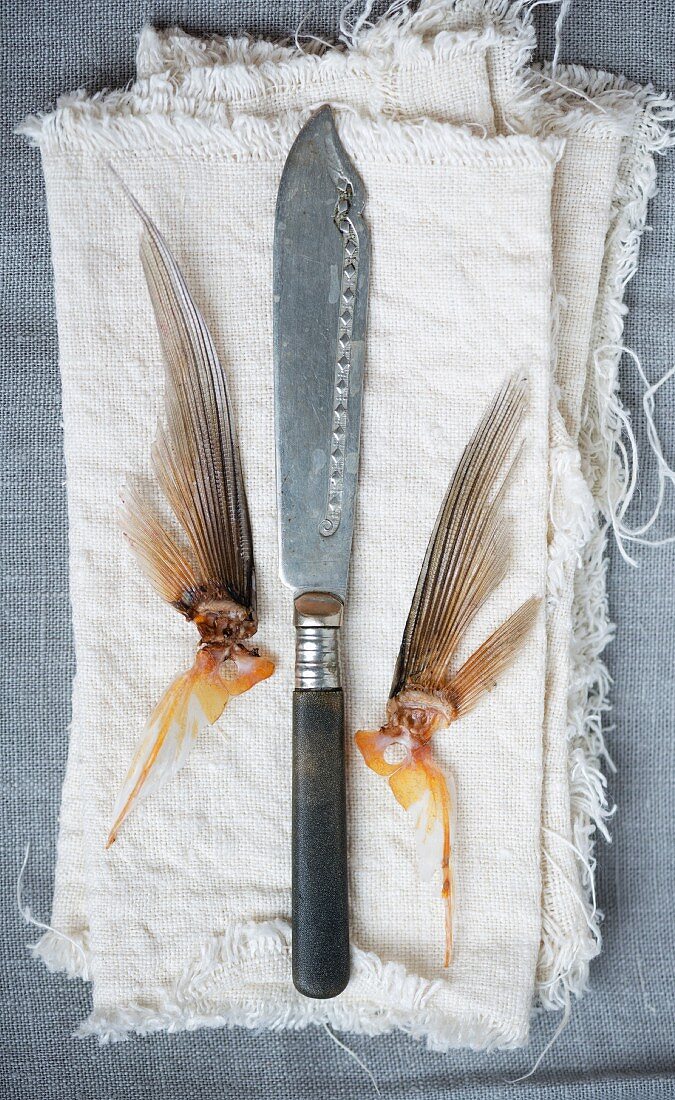 A fish knife and fish fins on a linen cloth