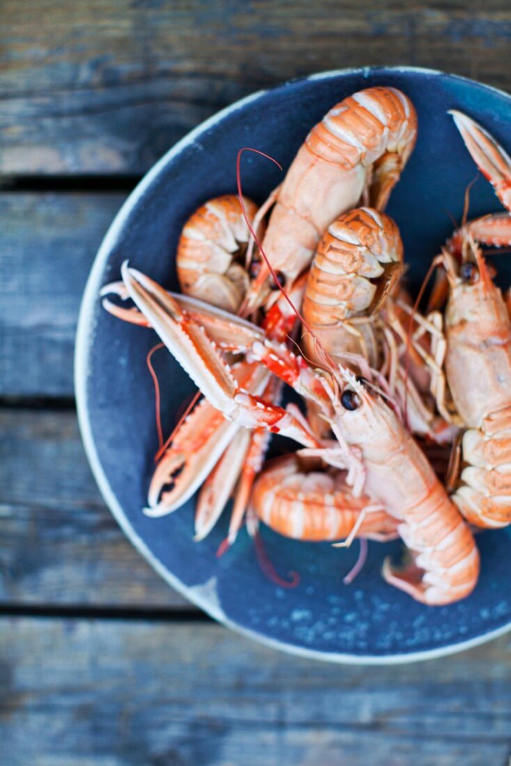 langoustines, prawns, seafood