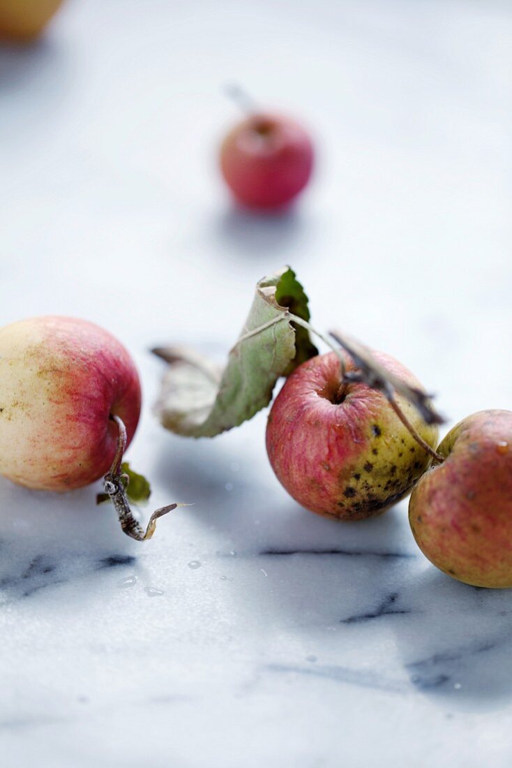 Heirloom apples on a marble tabletop