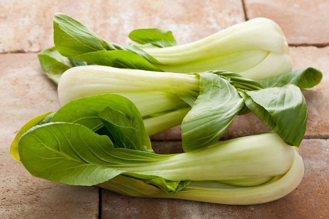 Mini-Pak Choi (Senfkohl, Blätterkohl)