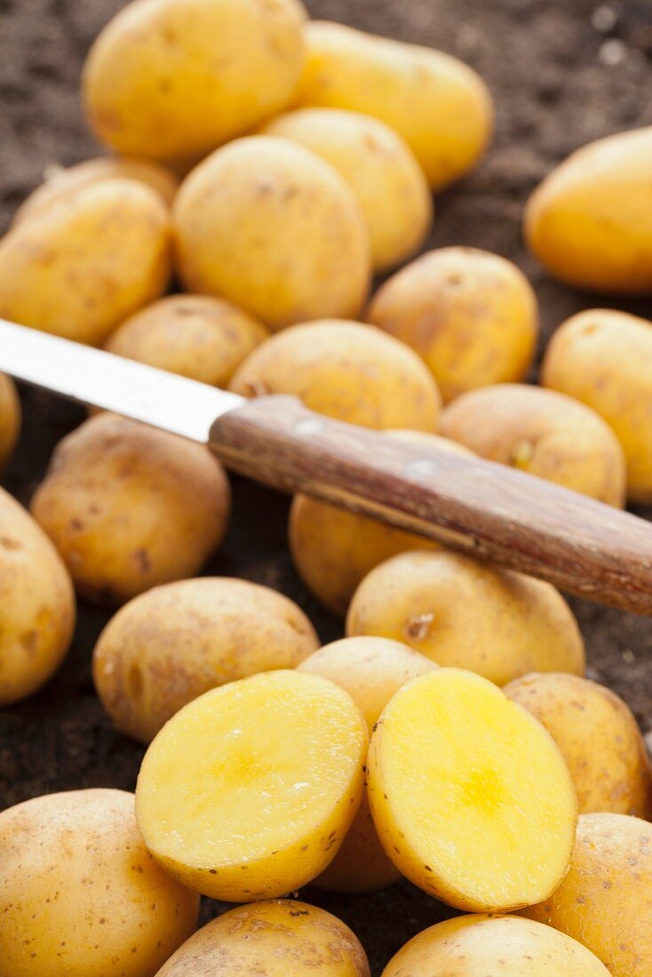 Small potatoes of the variety Goldniere, whole and cut in half