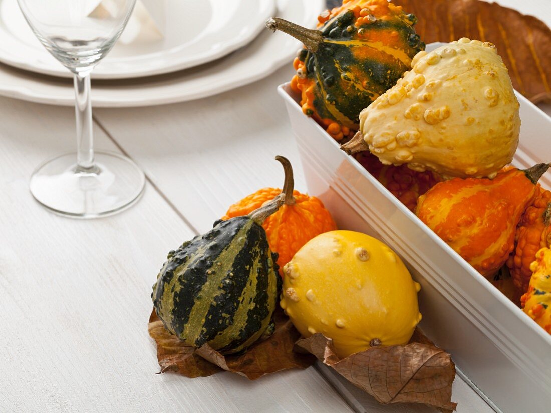 An autumn table decoration with ornamental squash