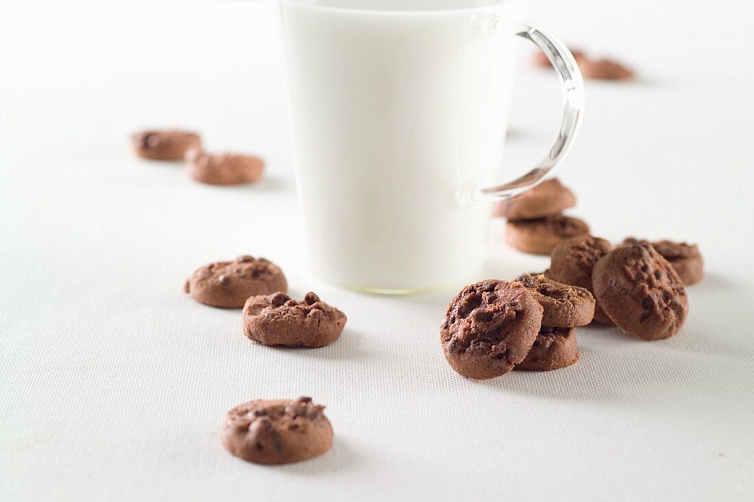 Double chocolate chip cookies with a glass of hot milk
