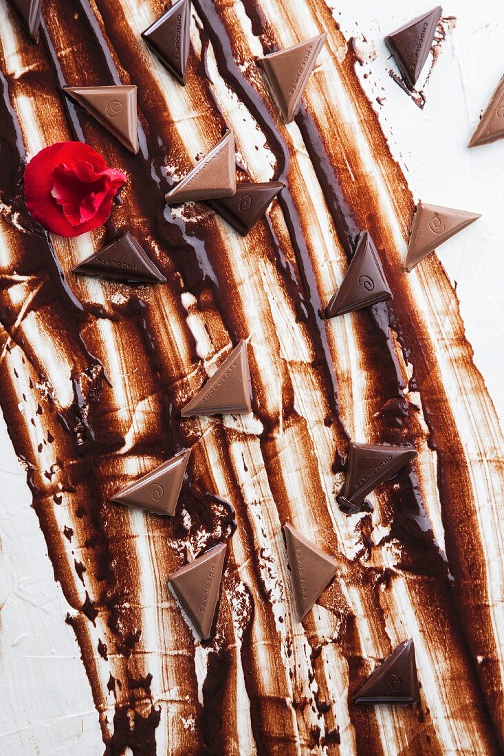 Chocolate triangles on chocolate sauce