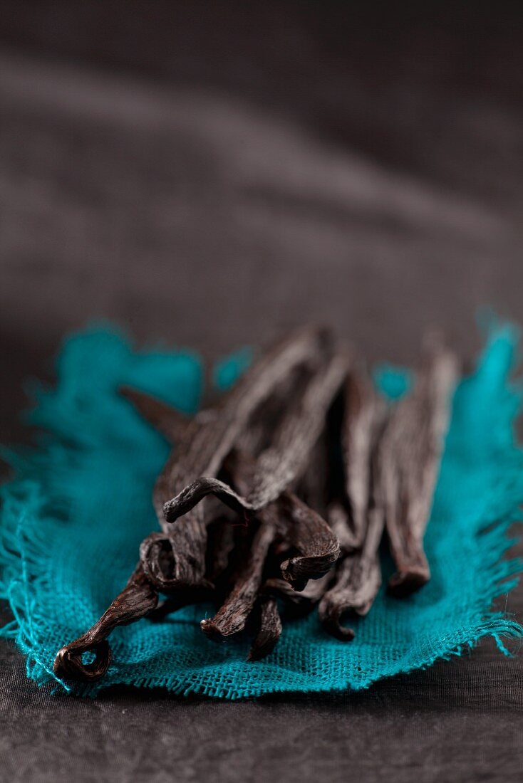 Several vanilla pods on a piece of turquoise cloth