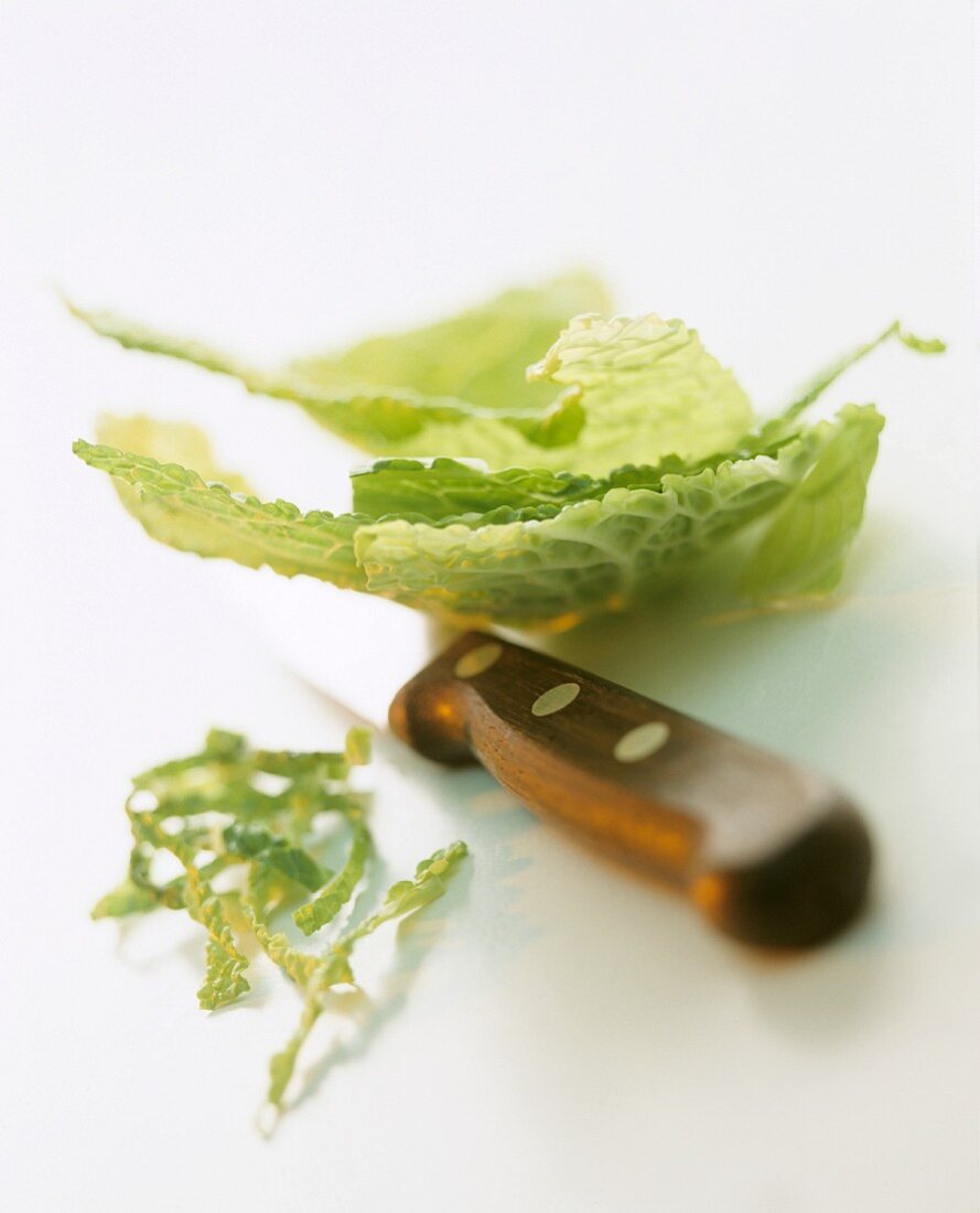 A still life featuring savoy cabbage leaves and a knife