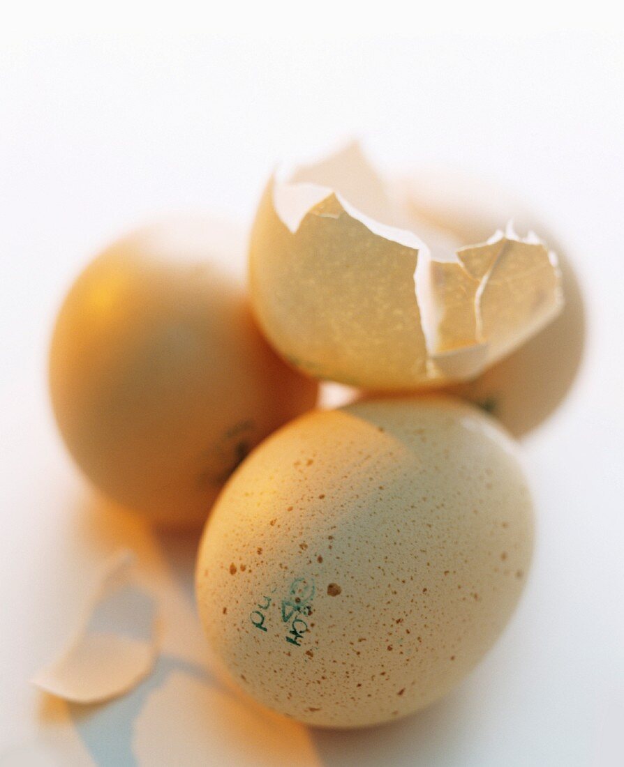 Hen's eggs, whole and a broken shell