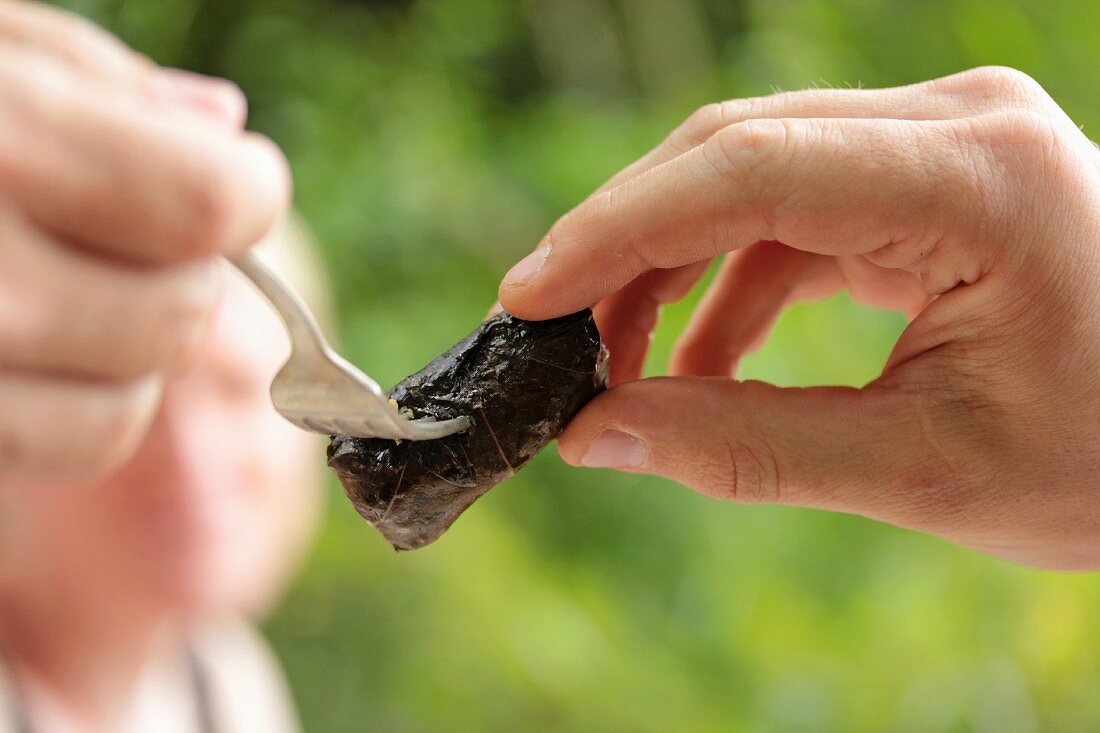 A hand reaching out to take a dolmadakia (stuffed vine leaf) from a fork held in another hand