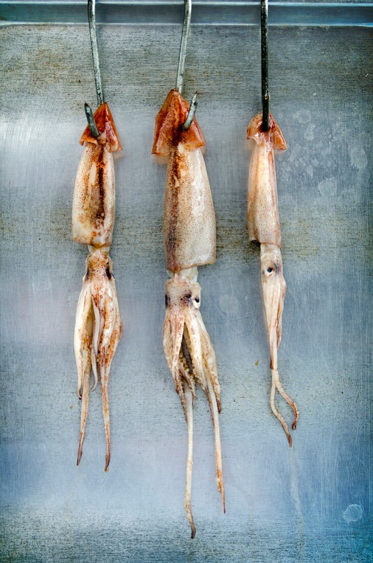 Drei ganze Tintenfische hängen an Fleischerhaken