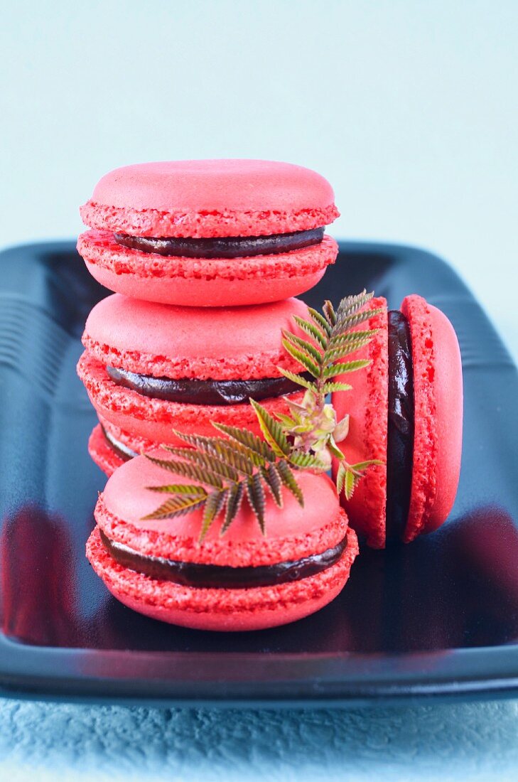Raspberry macarons with chocolate filling