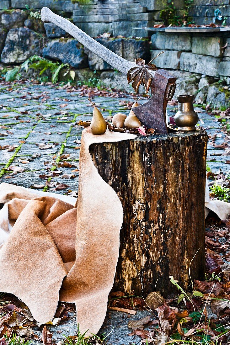 Axe stuck in wooden block with pears and metal vessel in autumnal garden