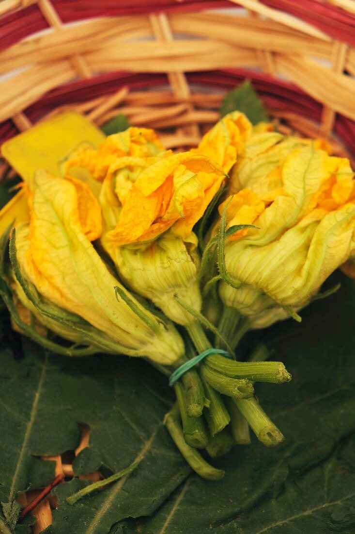 Zucchiniblüten, gebündelt, im Korb