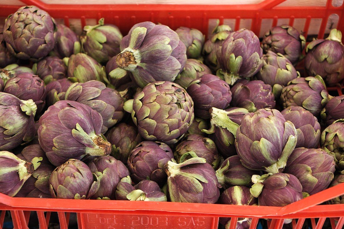 Purple artichokes in a red crate at the market