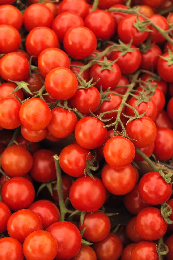 Many Fresh Grape Tomatoes