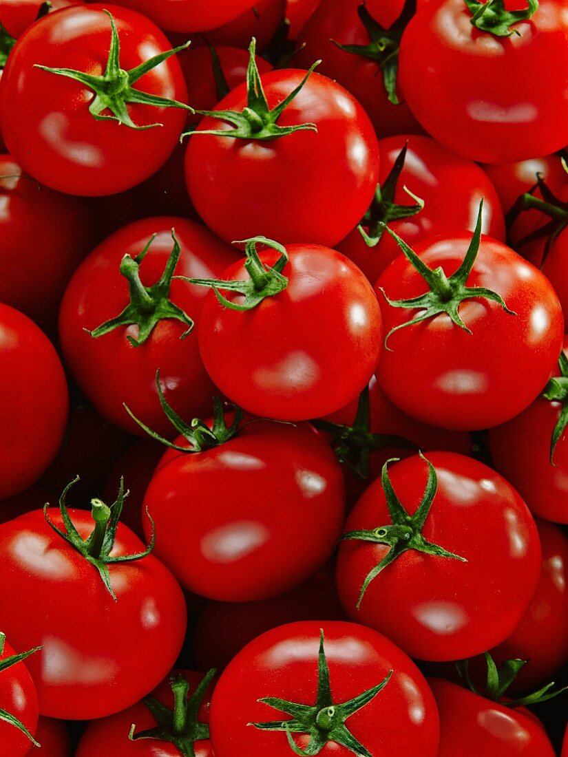 Viele reife Tomaten (bildfüllend)