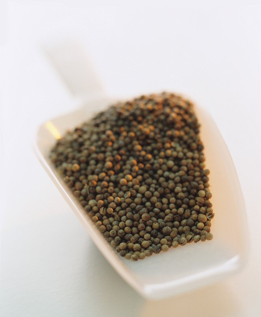 Coriander seeds in a scoop