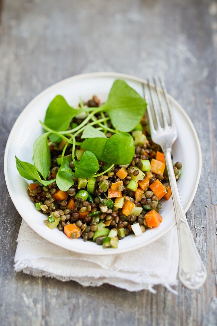 Lentil salad with purslane