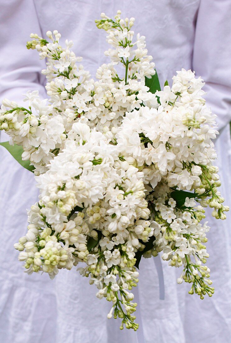 A girl holding a bunch of white lilacs