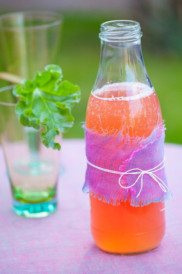 Homemade rhubarb lemonade on a garden table