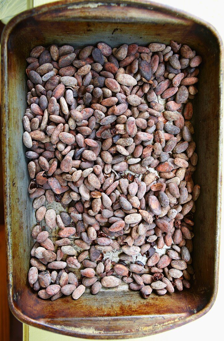 Viele geröstete Kakaobohnen in einem Behälter (Draufsicht)