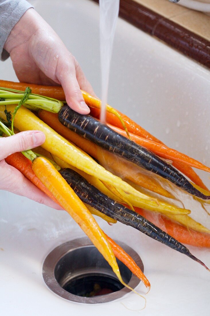 Gelbe, orange & violette Karotten werden gewaschen