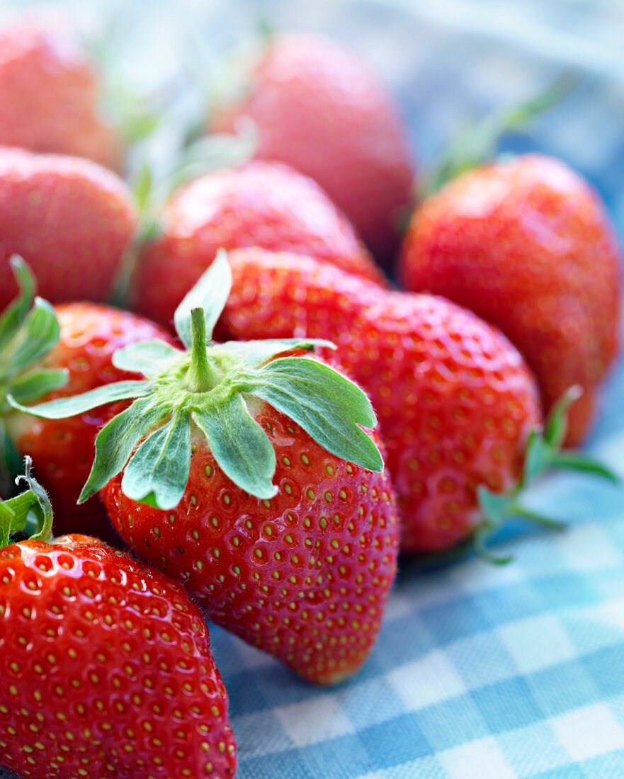 Frische Erdbeeren auf kariertem Tuch (Close Up)
