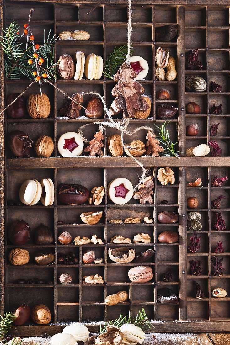 A seed box with biscuits of nuts