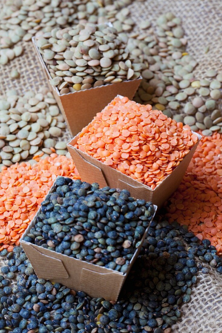 Assorted types of lentils, some in cardboard containers