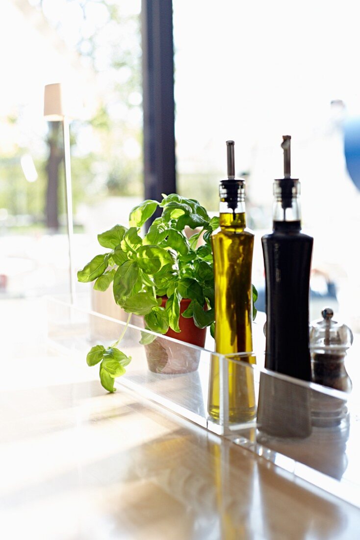 Olivenöl, Balsamicoessig, Pfeffermühle und frisches Basilikum auf Glastisch